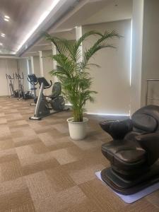 un gimnasio con una planta en una sala con bicicletas estáticas en Awa Kanko Hotel, en Tokushima