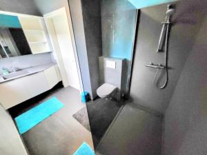 a bathroom with a shower with a toilet and a sink at Calm and modern apartment in Eischen