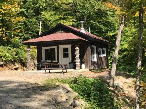 uma pequena cabana na floresta com um banco à frente em paradis sauvage geronimo em St-Etienne de Bolton