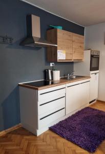 una cocina con armarios blancos, fregadero y alfombra púrpura en Sax Pub Hostel Ljubljana, en Liubliana