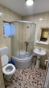 a bathroom with a shower and a toilet and a sink at La Perla in Moieciu de Sus