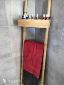 Ένα μπάνιο στο ANTIQUA ROMA SPQR cubiculum