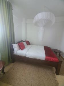 a bed with two red pillows on it in a room at Emily Apartments Kisumu on Hatupe Enterprises Ltd Building in Kibos