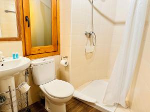 a bathroom with a toilet and a sink and a shower at Apartament Immovall in Durro