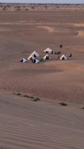 Photo de la galerie de l'établissement Desert Walking Camel Tours, à Mhamid