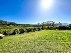 Naturlandskabet i nærheden af lejligheden