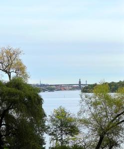 a bridge over a river with trees in the foreground at Apartment with amazing view in Stockholm