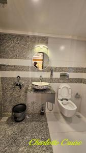 La salle de bains est pourvue d'un lavabo, de toilettes et d'un miroir. dans l'établissement Charlotte Cruise House Boat, à Alappuzha