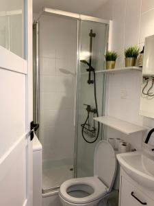 a bathroom with a shower with a toilet and a sink at Apartament Oliwa in Gdańsk