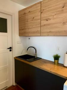 a kitchen with a sink and wooden cabinets at Apartament Oliwa in Gdańsk