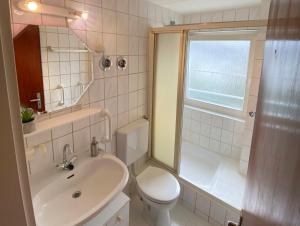a bathroom with a sink and a toilet and a shower at Apartments with Garden in Bad Vilbel