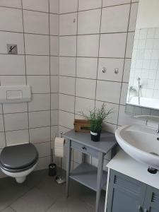 y baño con aseo y lavamanos. en Mimalou möbliertes Apartment in Crimmitschau, en Crimmitschau