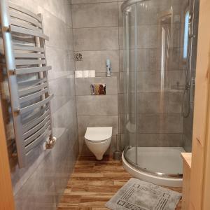 La petite salle de bains est pourvue d'une douche et de toilettes. dans l'établissement Domek na farmie, à Szaflary