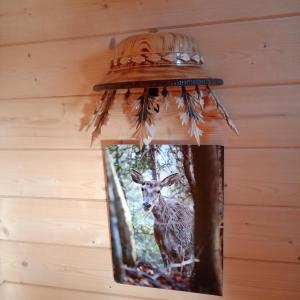 Fotografia z galérie ubytovania Domek na farmie v destinácii Szaflary