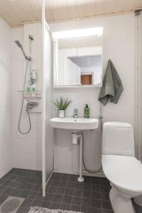 La salle de bains est pourvue de toilettes, d'un lavabo et d'une douche. dans l'établissement Tunnelmallinen kaksio, à Jyväskylä