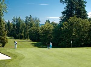 a group of people playing golf on a golf course at Holiday Home Vesna with Sauna in Brežice
