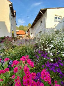 a garden of flowers in front of a building at Ferienwohnung Riese Nordhessen in Felsberg