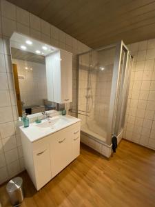 La salle de bains est pourvue d'un lavabo blanc et d'une douche. dans l'établissement Ferienwohnung Riese Nordhessen, à Felsberg