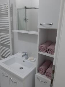 La salle de bains blanche est pourvue d'un lavabo et d'un miroir. dans l'établissement Nelly, à Sarajevo