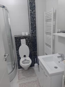 La salle de bains blanche est pourvue de toilettes et d'un lavabo. dans l'établissement Nelly, à Sarajevo