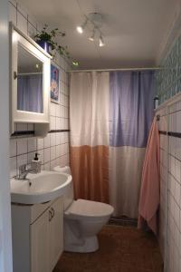 a bathroom with a sink and a toilet and a shower at Cosy guesthouse in the countryside, with breakfast in Malmö