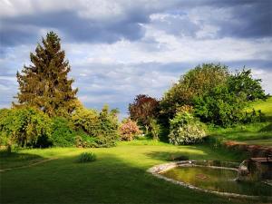 een groene tuin met een vijver en bomen bij Le Champ des Sources in Langres