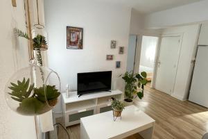 sala de estar con TV de pantalla plana y macetas en FEDRIANI Bright and cosy apartment en Sevilla