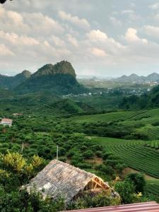 een boerderij in een veld met bergen op de achtergrond bij Mận Home - Nhà Trên Đồi in Mộc Châu