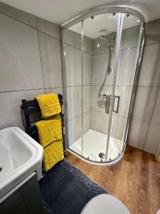 a bathroom with a shower and a sink and a toilet at Oak View Lodge: Cosy, Countryside Retreat in Maybole