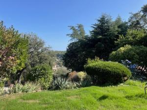 un jardin avec de l'herbe verte, des arbres et des buissons dans l'établissement Domaine des Tuilières avec Jacuzzi, à Vallauris