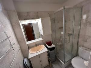 een badkamer met een douche, een wastafel en een toilet bij Studio Les Angles, 1 pièce, 4 personnes - FR-1-593-92 in Les Angles