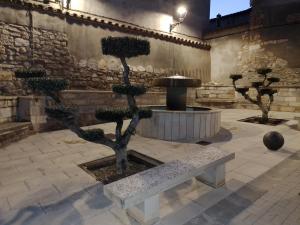 two bonsai trees in a courtyard with a bench at Casa rural tres regiones in Ontiñena