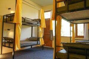Giường tầng trong phòng chung tại Firefly Hostel