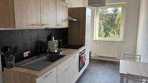 a kitchen with a sink and a counter with a window at Bitterfelder Cityapartment im Dichterviertel in Bitterfeld