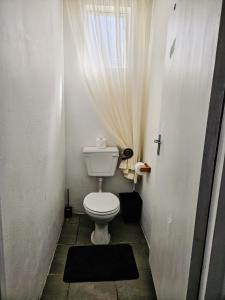 a small bathroom with a toilet and a window at Apartment on 4th Avenue in East London