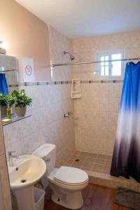 a bathroom with a toilet and a sink and a shower at Caribbean Villages Aparments in Bocas Town