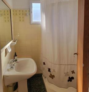 a bathroom with a sink and a shower curtain at Aime in Esquel