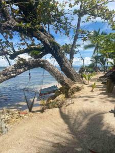 Gallery image of Caribbean Villages Aparments in Bocas del Toro