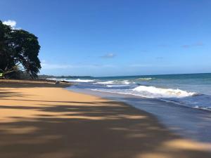 una playa con el océano y árboles en ella en Caribbean Villages Aparments en Bocas del Toro