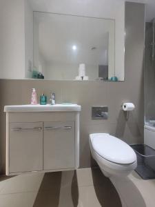 a bathroom with a toilet and a sink and a mirror at Amazing Canterbury 1 BR Flat in London CB54 in Croydon