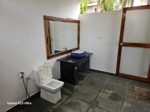 La salle de bains est pourvue de toilettes, d'un lavabo et d'un miroir. dans l'établissement Agonda Beach Villa, à Agonda