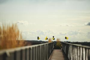 a wooden bridge with a bunch of signs on it at Stylish Black and White loft in Kaunas +12 photos
