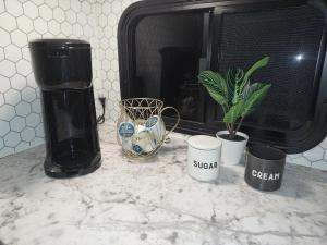 encimera de cocina con cafetera y maceta en The Torres' Camper Experience!, en Tampa