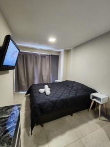 a bedroom with a black bed and a flat screen tv at Casita de Tucumán - Santiago in San Miguel de Tucumán