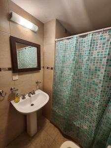 W łazience znajduje się umywalka i prysznic. w obiekcie Casita de Tucumán Apart - Cochera Cercana w mieście San Miguel de Tucumán