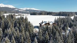 ein Haus inmitten eines Waldes voller Bäume in der Unterkunft Hotel Häuserl im Wald in Mariapfarr