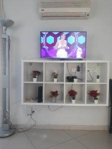 a tv sitting on a white shelf with flowers at A MODERN APARTMENT FOR YOU in Nicosia