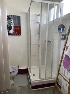 uma casa de banho com um chuveiro e um WC. em Appartement Studio 35 m2 face à l'Ocean em Saint-Brévin-les-Pins