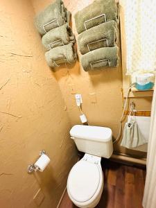 a bathroom with a white toilet and towels at Acorn Hideaways Canton Delightful Christmas Suite Year Round in Canton