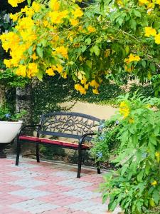 un banco sentado bajo un árbol con flores amarillas en Guest House, shared pool, private bathroom and kitchen en Phuket
